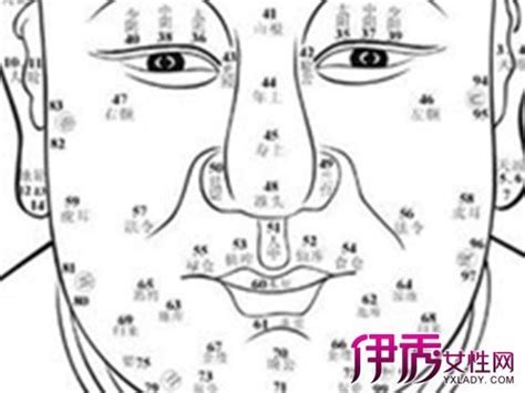 鼻子上有痣代表什么|從面相看出你一生的金錢運！盤點 10 種「鼻上痣」代。